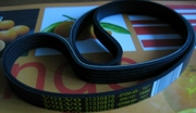 VOLVO 31330870 V-Ribbed Belts