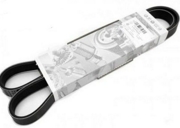 VAG 03L903137AC RIBBEDBELT