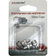 AutoStandart 102506 