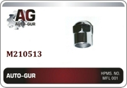 Auto-GUR M210513 