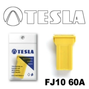 TESLA FJ1060A 