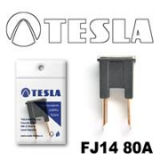 TESLA FJ1480A 