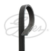 Gates 6DPK1195 Micro-V® Belt