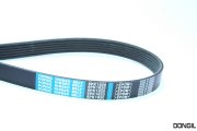 DONGIL 6PK1820 BELT V