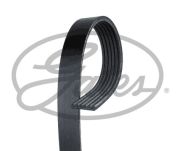Gates 6PK1305 Micro-V® Belt