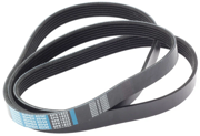 DONGIL 6PK1822 BELT V
